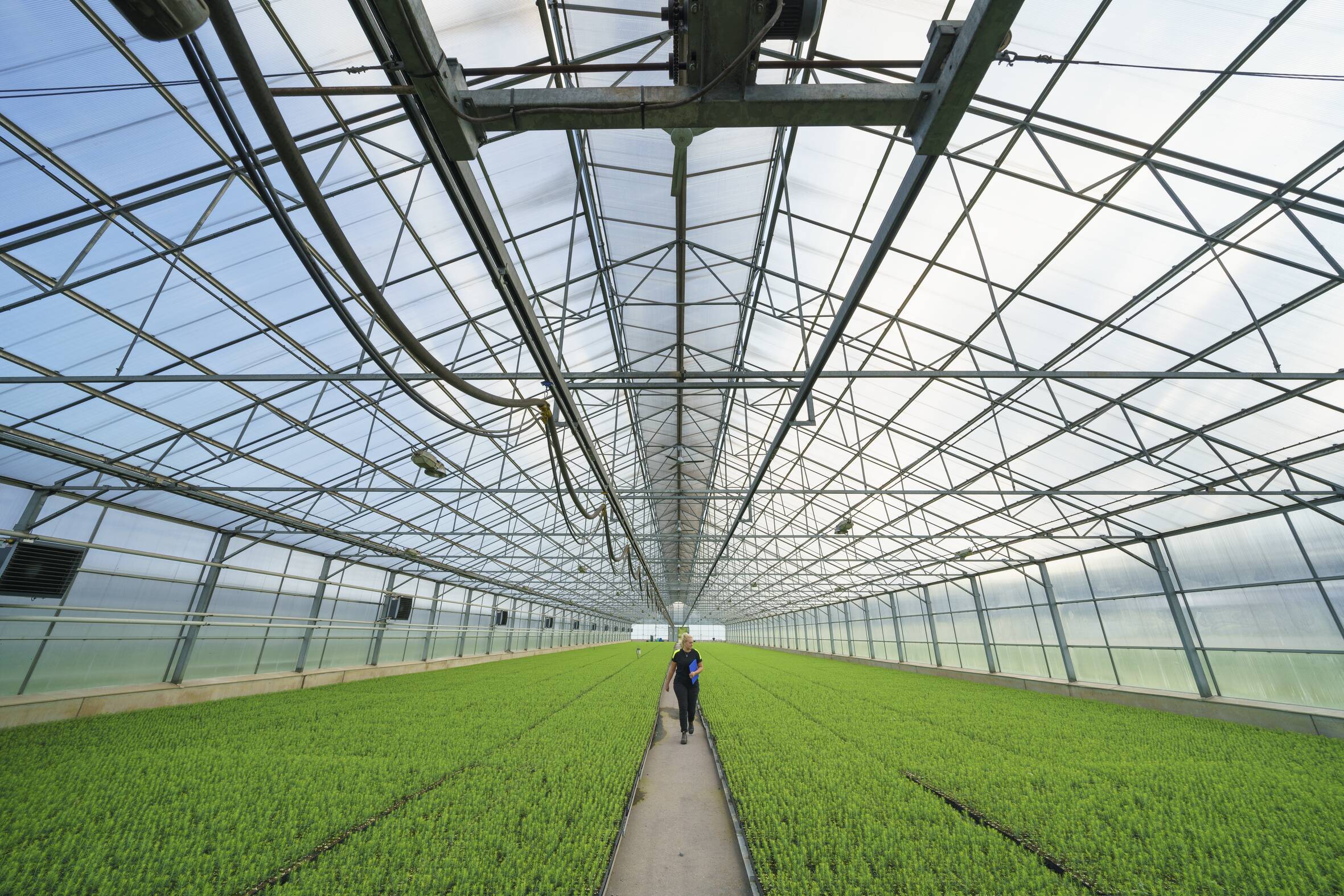StoraEnso - Field image 3